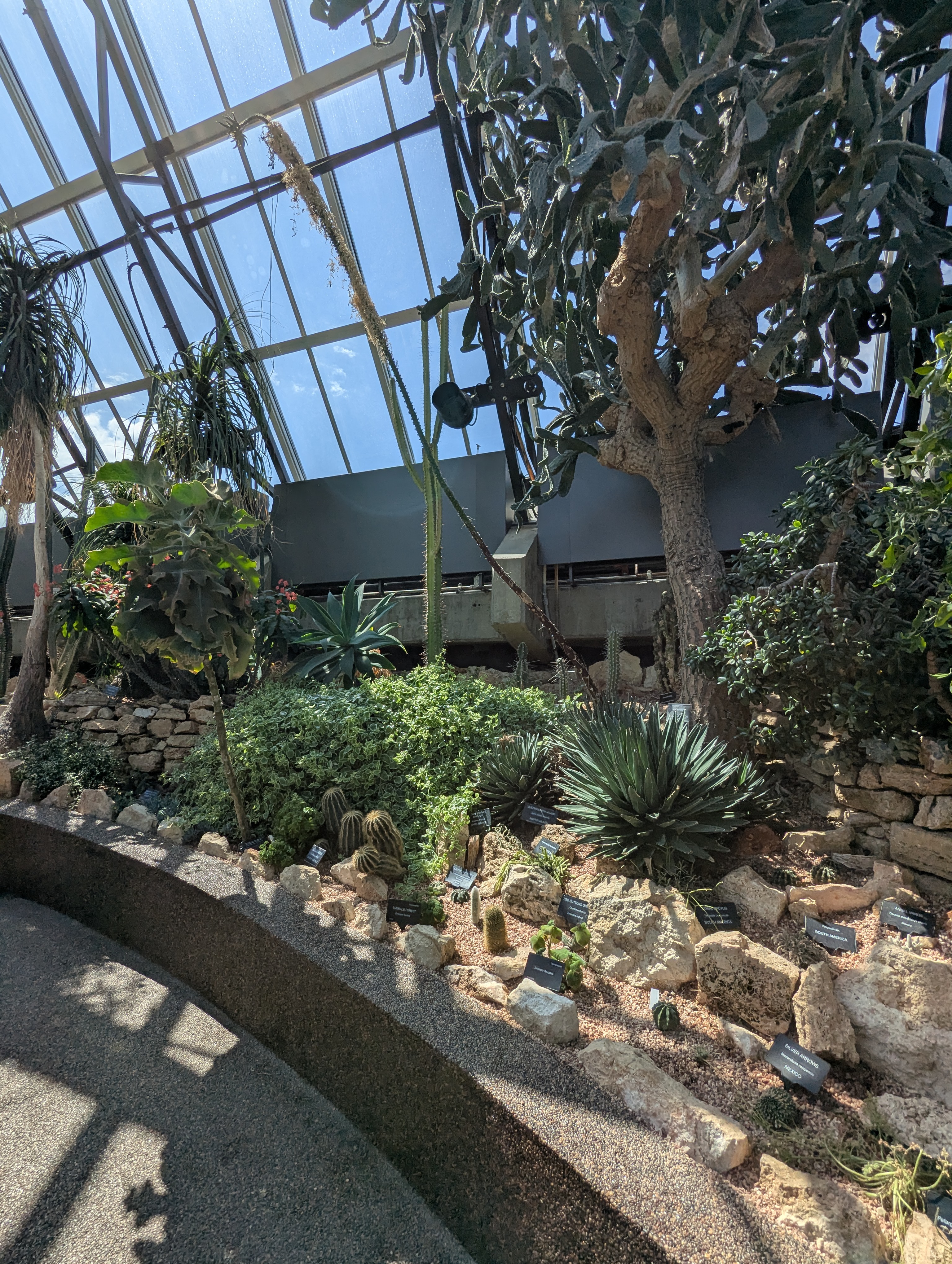 Birthday Trip to Canada, Edmonton, Pyramids, Muttart Observatory